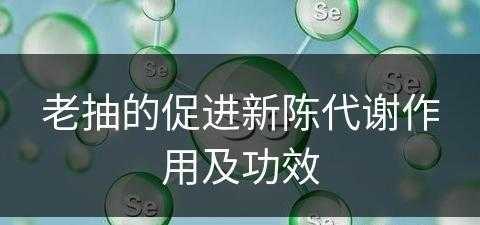 老抽的促进新陈代谢作用及功效